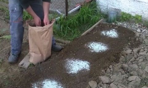 Εφαρμογή φυσικού ζεόλιθου σε περιβόλι στη Βαλμάδα.