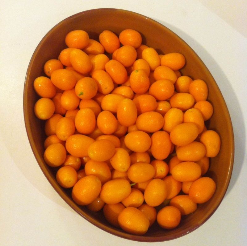 Ζεολιθικά Kumquat, μπρόκολο, μανταρίνια και λεμόνια. Σαλάκος Ρόδου  Ιανουάριος 2016 1