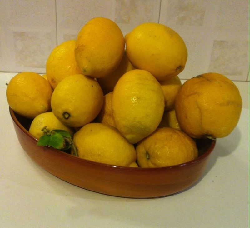 Ζεολιθικά Kumquat, μπρόκολο, μανταρίνια και λεμόνια. Σαλάκος Ρόδου  Ιανουάριος 2016 1