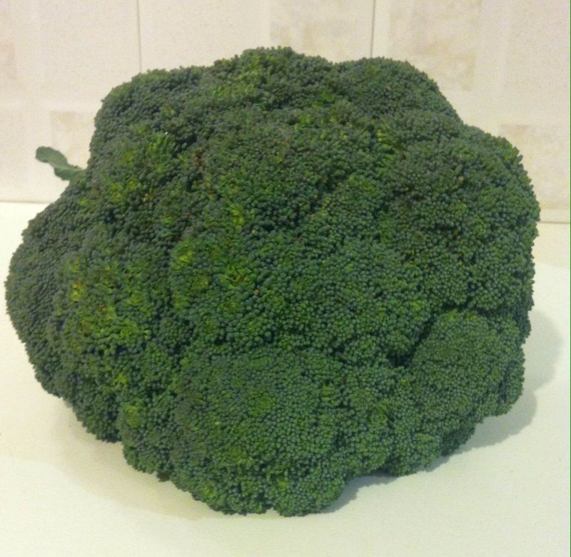 Ζεολιθικά Kumquat, μπρόκολο, μανταρίνια και λεμόνια. Σαλάκος Ρόδου  Ιανουάριος 2016 1