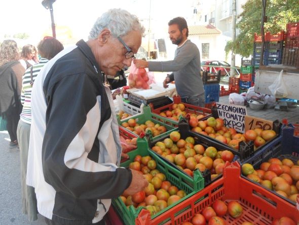 Ζεολιθικές ντομάτες Θερμοκήπιο Σ. Γιαγλή Φέρες.