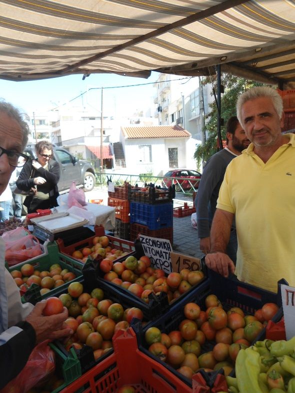 Ζεολιθικές ντομάτες Θερμοκήπιο Σ. Γιαγλή Φέρες.
