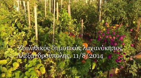 Ζεολιθικος δημοτικος λαχανοκηπος Αλεξανδρουπολης.