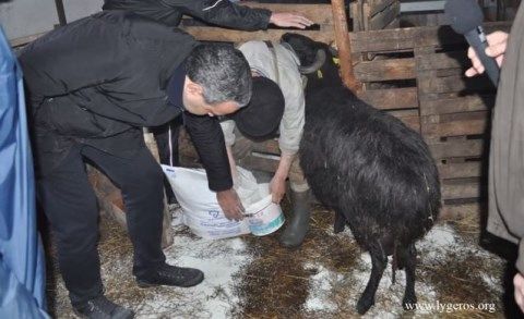 Ζεόλιθος και κτηνοτροφία - Μυτιλήνη.