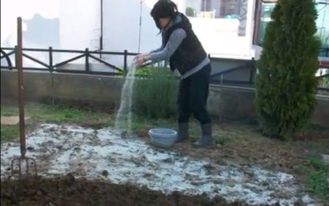 Ζεόλιθος-σε-κήπο--Νέα-Ορεστιάδα.