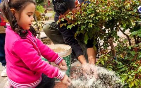 Ζεόλιθος σε τριαντάφυλλα, Ρόδος.