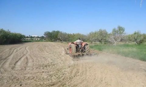 Ζεόλιθος σε τριφύλλι - Αραδίππου Κύπρος.