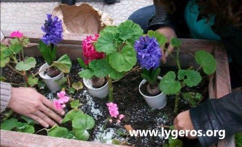 Ζεόλιθος στην Εκκλησία του Αγίου Γεωργίου - Θράκη.