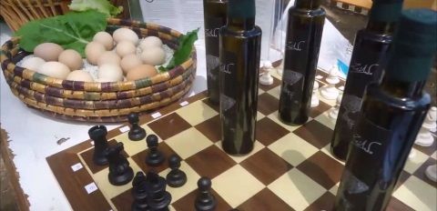 Ζεόλιθος στην Πρώτη Παγκύπρια Οικογιορτή.