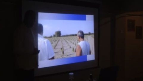 Ζεόλιθος στον πρωτογενή τομέα.