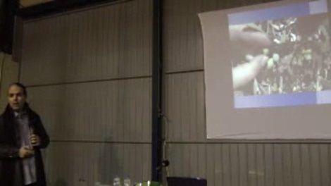 Η χρήση του ζεόλιθου στη γονιμότητα των εδαφών και στη καλλιέργεια της ελιάς.