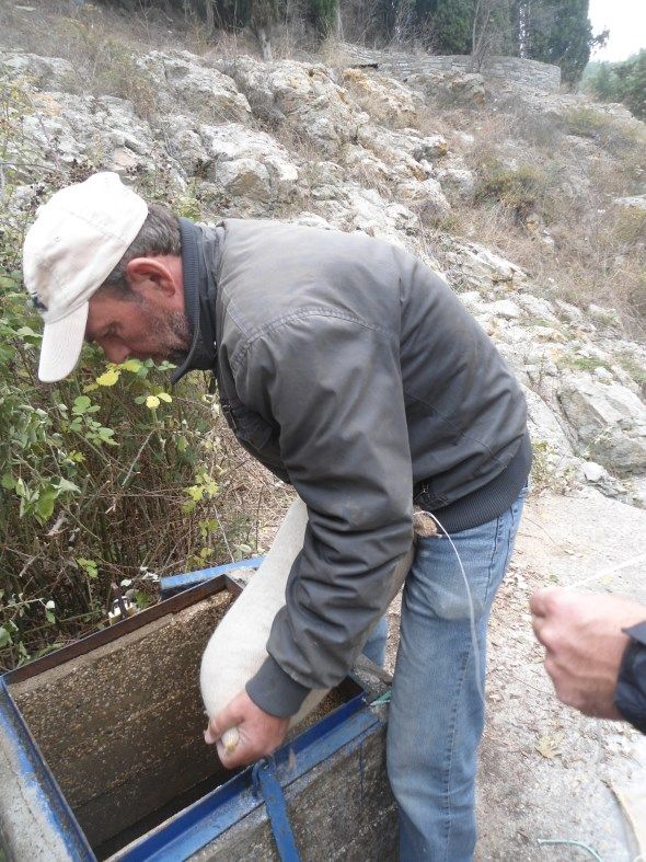 Καθαρισμός δεξαμενής με ζεόλιθο Κοτζιάς Φέρες Έβρου.