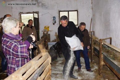 Εκδήλωση στη Μυτιλήνη για τον ζεόλιθο.