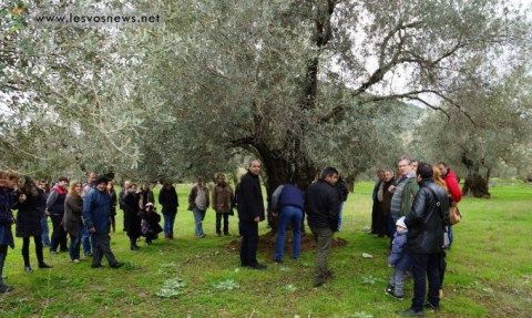 Μυτιλήνη: Μια διαφορερική εκδήλωση με δώρο ένα κιλό ζεόλιθο.