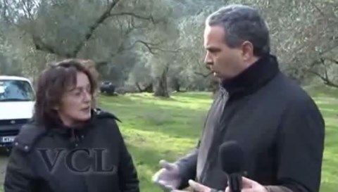 Νίκος Λυγερός: Ζεόλιθος για μελίσσια.