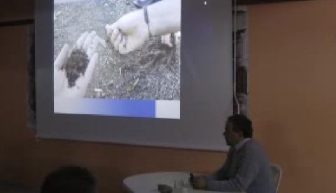 Νίκος Λυγερός: Κεράσια ζεόλιθος καικαινοτομία.