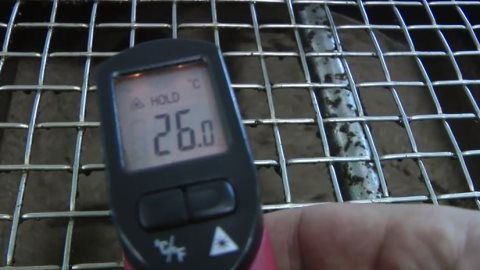 Νίκος Λυγερός: Παραγωγή ζεόλαδου. Πρόδρομος, Μεσσηνίας.