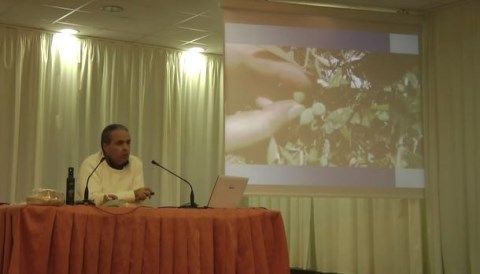 Νίκος Λυγερός: Ο Αγροτικός Ζεόλιθος - Ζεόλιθος Θράκης.