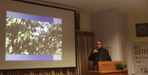 Νίκος Λυγερός: Τα κεράσια του ζεόλιθου.