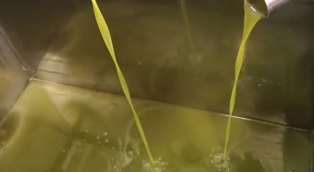 Νίκος Λυγερός - Παραγωγή ζεόλαδου Ελαιοτριβείο Τσατσαμπάς - Αγαλιανή Μεσσηνίας - Πελοπόννησος.