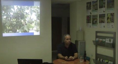 Ο Ζεόλιθος στα τριαντάφυλλα και στα αμπέλια.