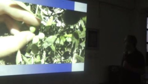 Ο ζεόλιθος ενάντια στο δάκο.