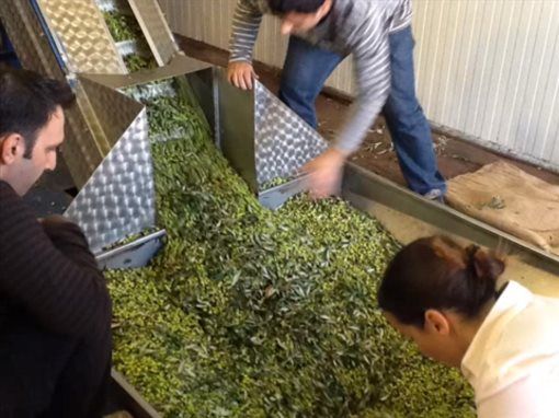 Παραγωγή Ζεολάδου - Μέρος Β Πρόδρομος Μεσσηνίας.