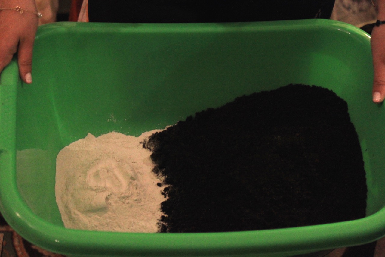 Σπορείο Ντομάτες με ζεόλιθο 1