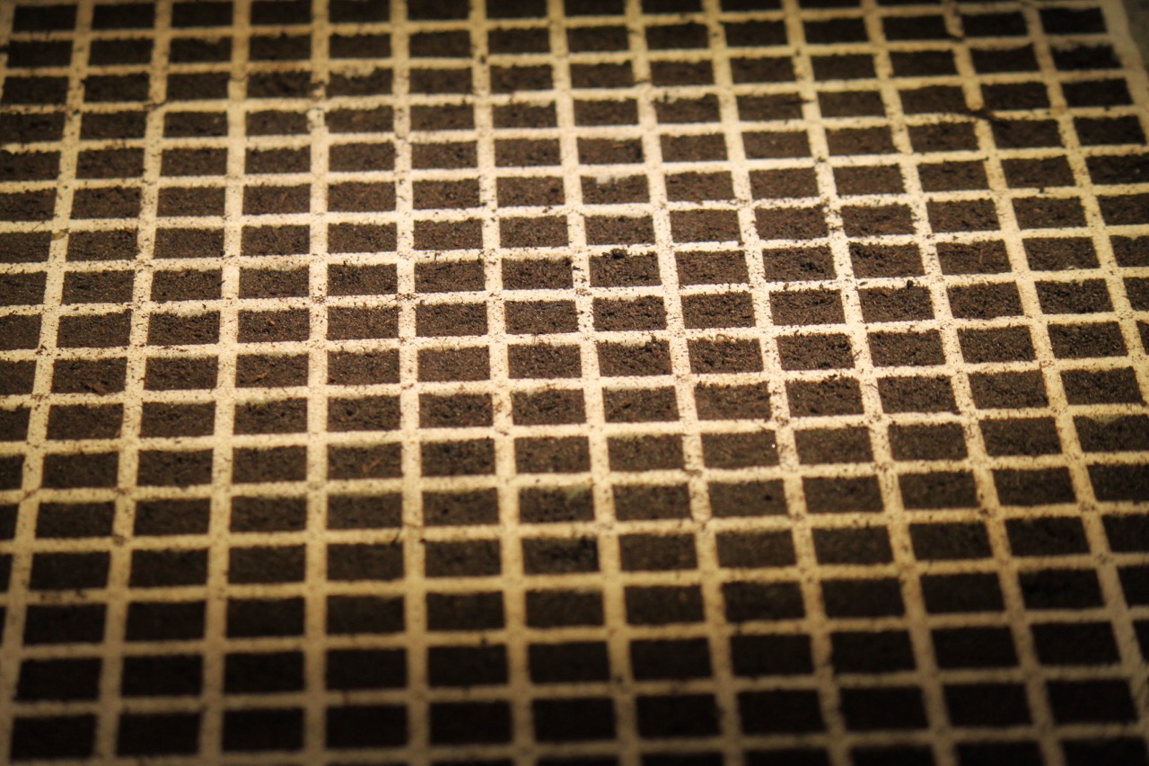 Σπορείο Ντομάτες με ζεόλιθο 5