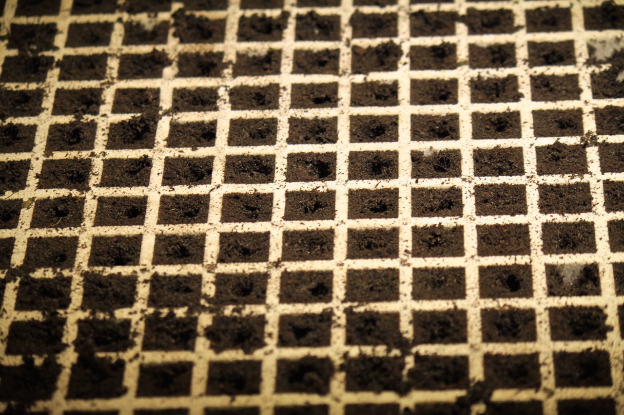 Σπορείο Ντομάτες με ζεόλιθο 6