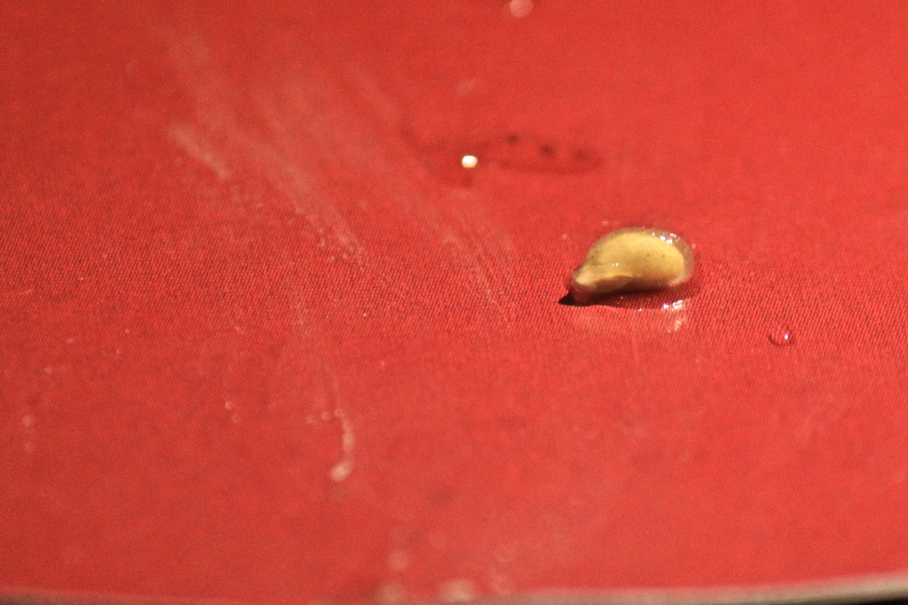 Σπορείο Ντομάτες με ζεόλιθο 8