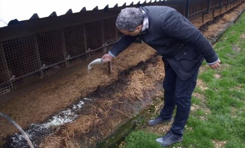 Χρήση ζεόλιθου στην κτηνοτροφία. Φάρμα-mink, Καστοριά.