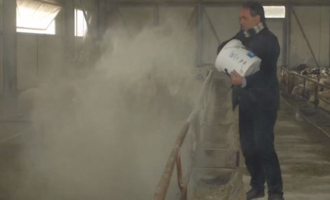 Χρήση ζεόλιθου στην κτηνοτροφία, Φάρμα-προβάτων, Καστοριά.