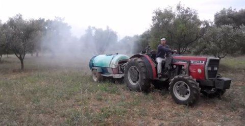 Ψέκασμα ζεόλιθου σε ελαιώνα.