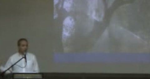 δάκος κατσίγαρος νηματώδης ζεόλιθος.